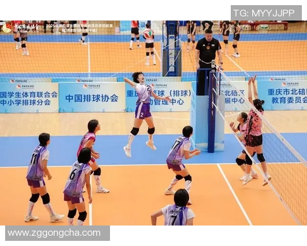 深度对话吴强分享排球人生的奋斗与梦想之路