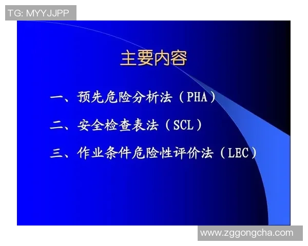 西安羽毛球队在邀请赛中的技术表现分析与点评