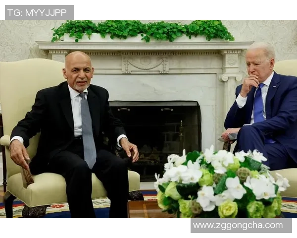 南京排球队耐力问题引发热议球迷与专家各执己见