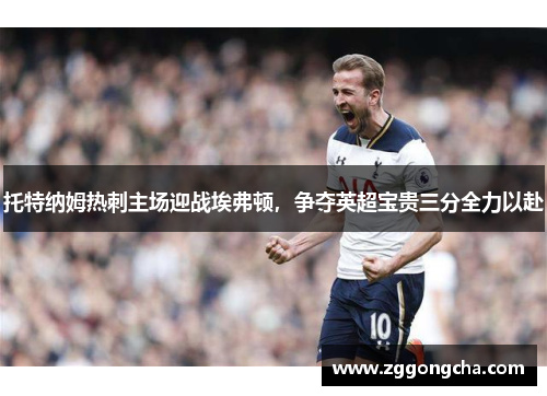 托特纳姆热刺主场迎战埃弗顿，争夺英超宝贵三分全力以赴
