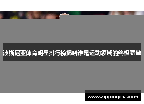 波斯尼亚体育明星排行榜揭晓谁是运动领域的终极骄傲