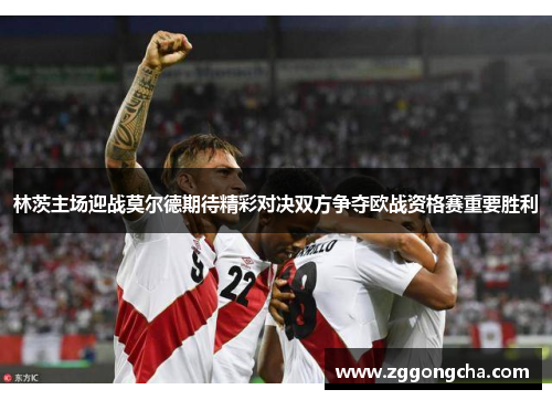 林茨主场迎战莫尔德期待精彩对决双方争夺欧战资格赛重要胜利