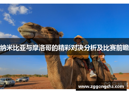 纳米比亚与摩洛哥的精彩对决分析及比赛前瞻